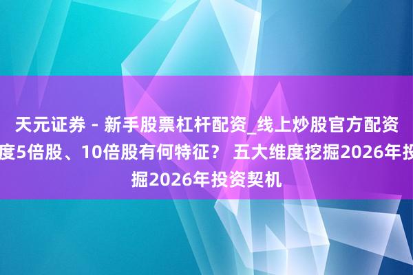 天元证券 - 新手股票杠杆配资_线上炒股官方配资杠杆 年度5倍股、10倍股有何特征？ 五大维度挖掘2026年投资契机