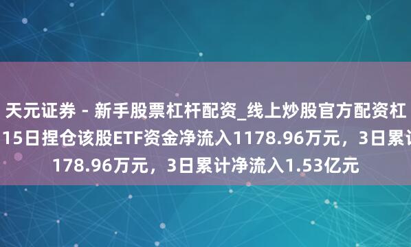 天元证券 - 新手股票杠杆配资_线上炒股官方配资杠杆 兴业银锡：1月15日捏仓该股ETF资金净流入1178.96万元，3日累计净流入1.53亿元